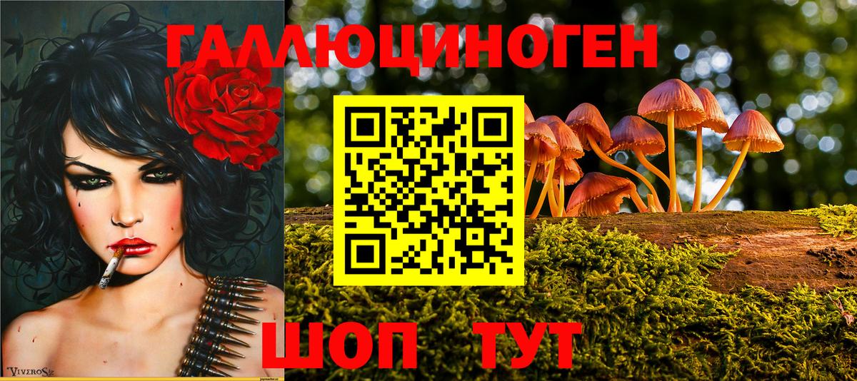 наркотики  Вход с VPN  Галлюциногенные грибы Psilocybe  Тверь  Галлюциногенные грибы Cubensis 