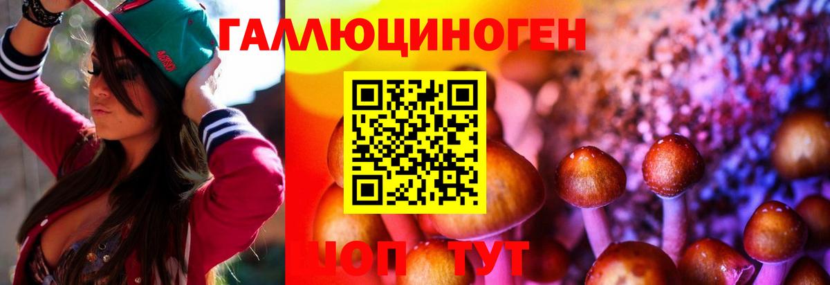 Галлюциногенные грибы мицелий Тверь